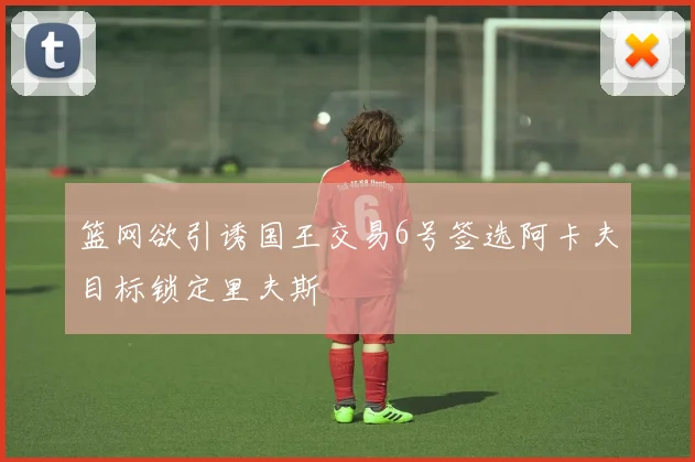 篮网欲引诱国王交易6号签选阿卡夫目标锁定里夫斯